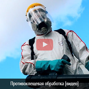 Противоклещевая обработка в Омске (видео)